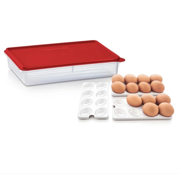 Tupperware  Large Snack Stor with egg inserts New - Picture 2 of 5